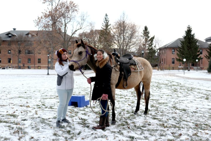 Two people stand with a saddled horse on a snowy lawn in front of brick buildings. One person is holding the horse's reins while the other gently pets the horse’s face. Both are bundled up in winter clothing.